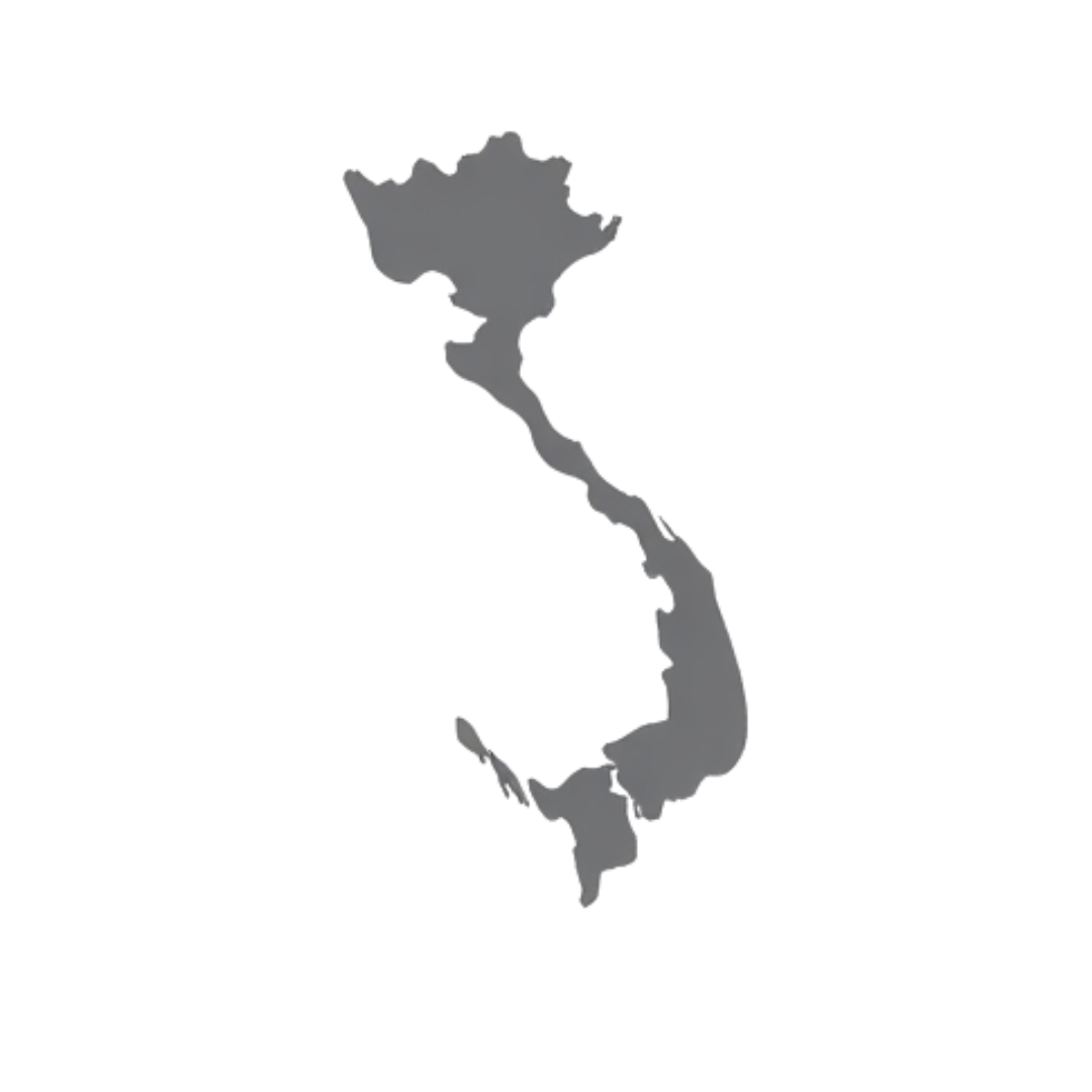 ベトナム現地ビジネス経験